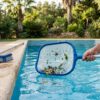 Peneira retirando folhas da superfície de uma piscina limpa
